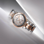 Preview: damenuhr zweifarbig gold stahl  herbelin 18384
