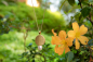Preview: juwelier zeller schmuck design