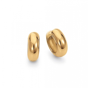 Ohrringe Gelbgold 585